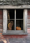 pumpkin in window